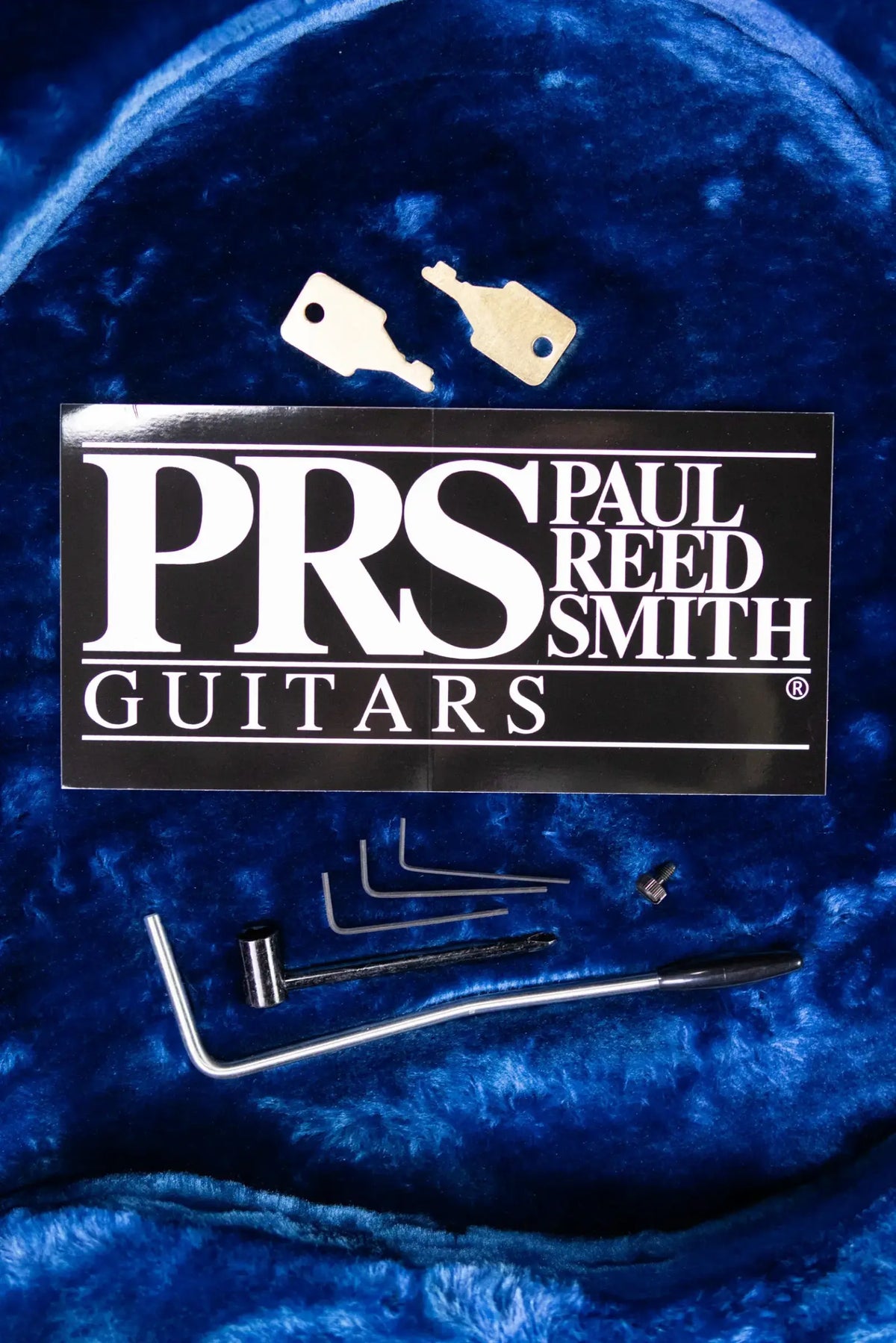 PRS Custom 24 "Birds of a Feather" Limited Edition Artist Top Electric Guitar - Charcoal Microburst with Hardshell Case