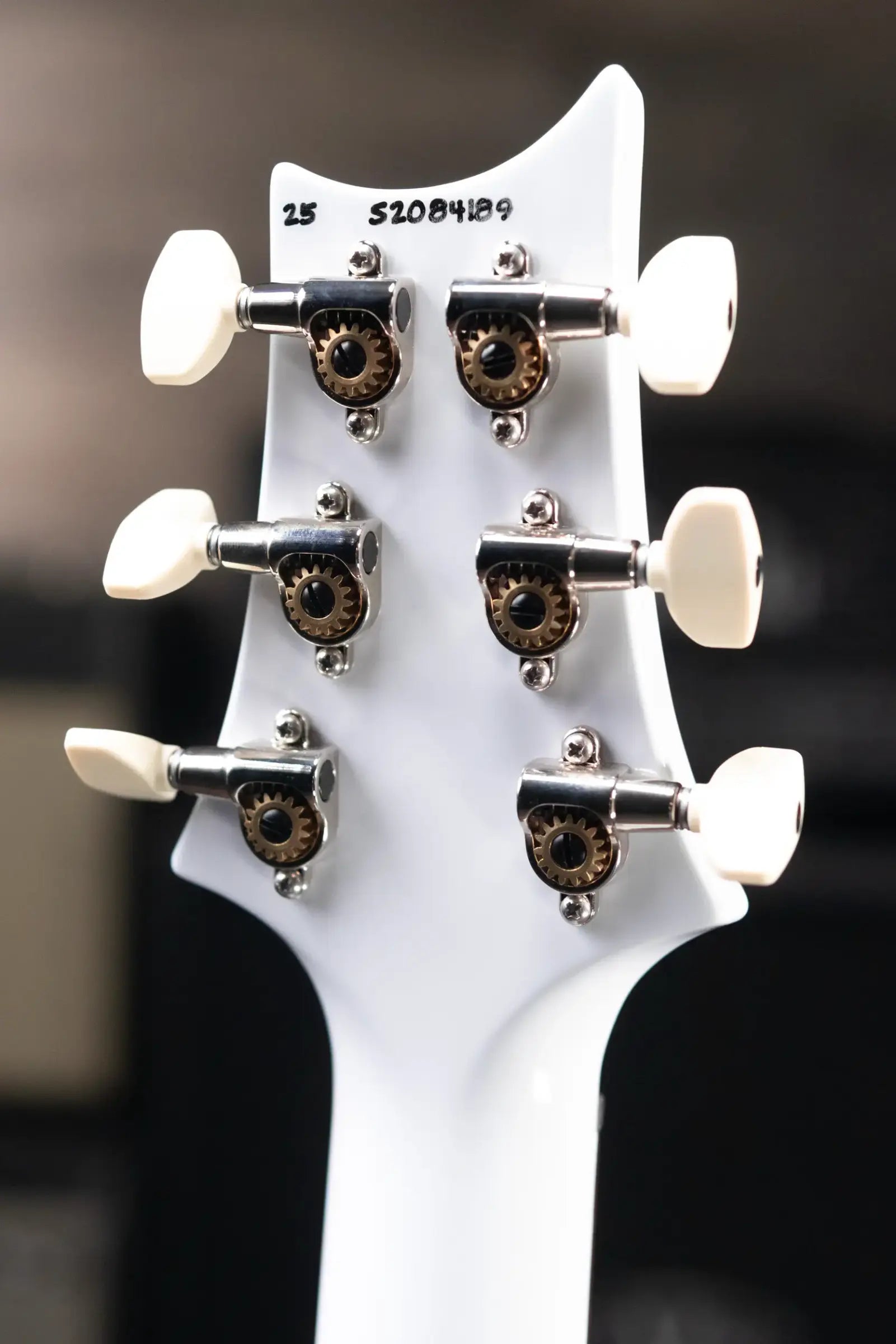 PRS S2 Custom 24-08 Electric Guitar - Sprayer's Choice with Gig Bag