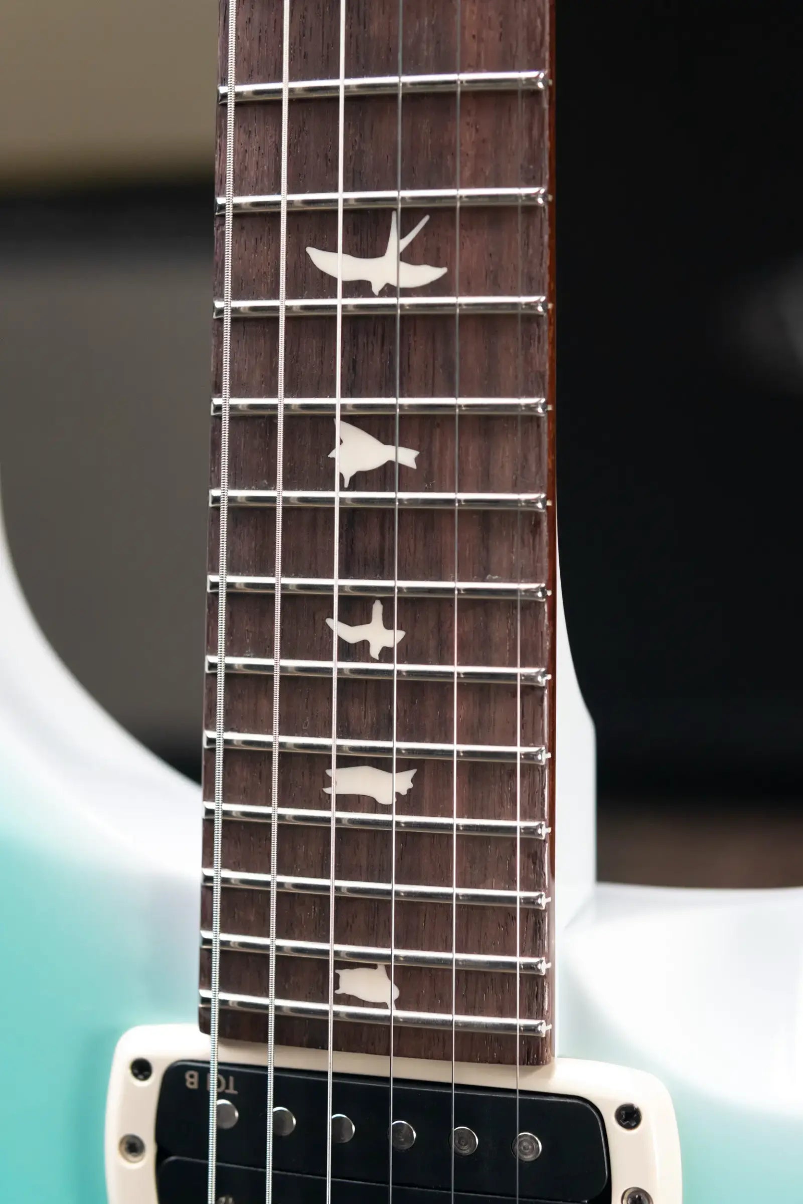 PRS S2 Custom 24-08 Electric Guitar - Sprayer's Choice with Gig Bag