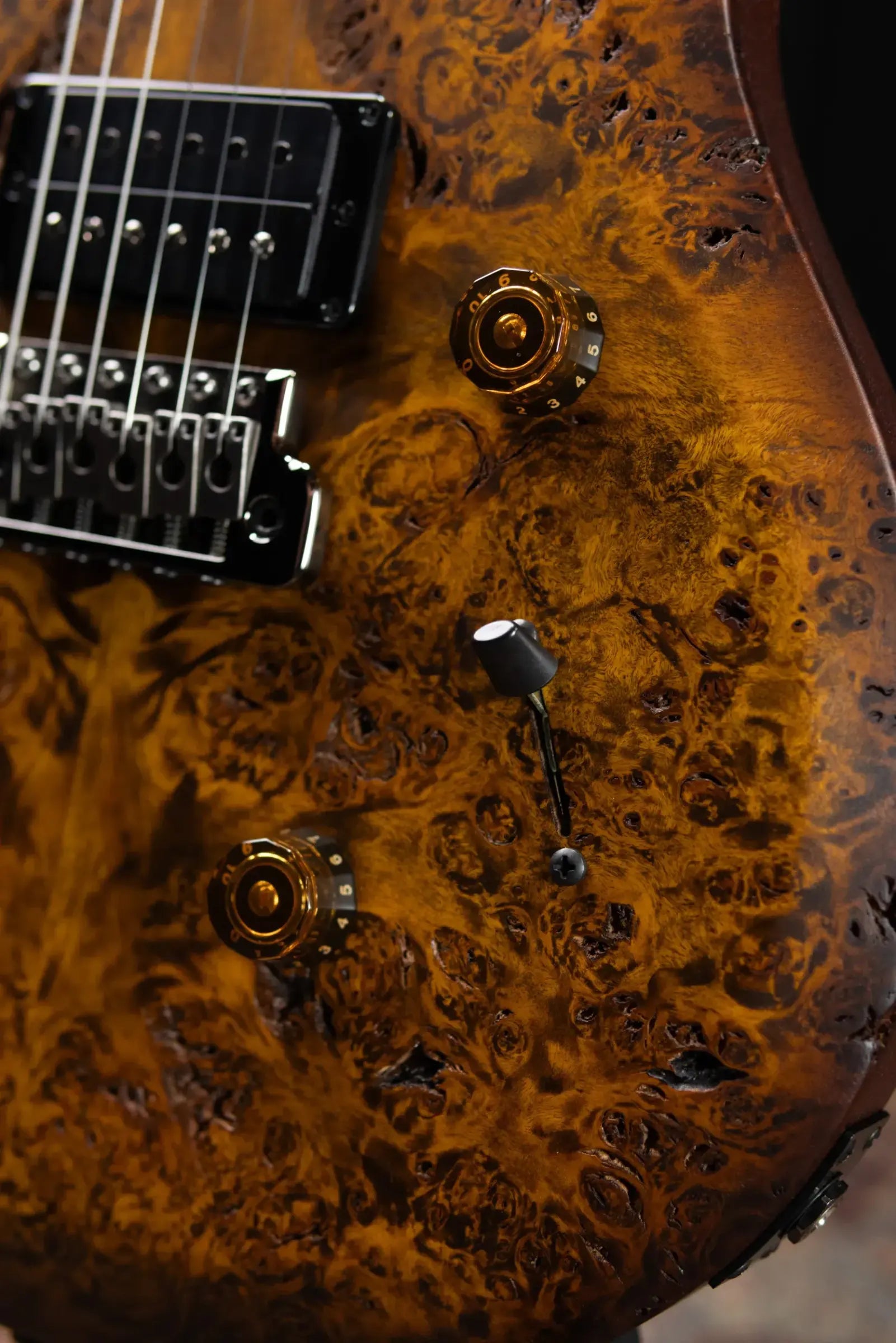 PRS S2 LTD Edition Custom 24 Poplar Burl Top Electric Guitar - Satin Black Gold Burst with Gig Bag
