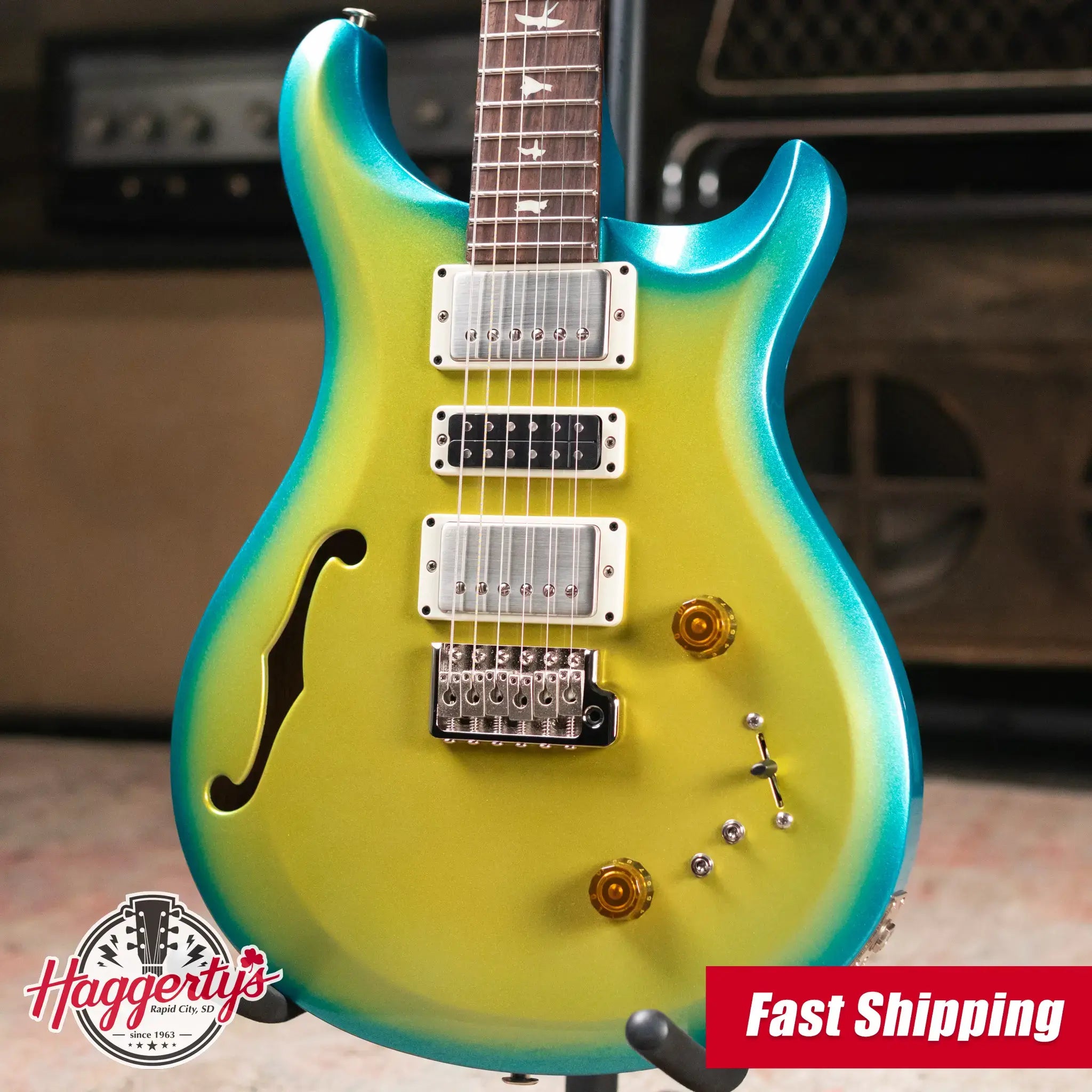 PRS S2 Special Semi-Hollow Electric Guitar - Sprayer's Choice with Gig Bag