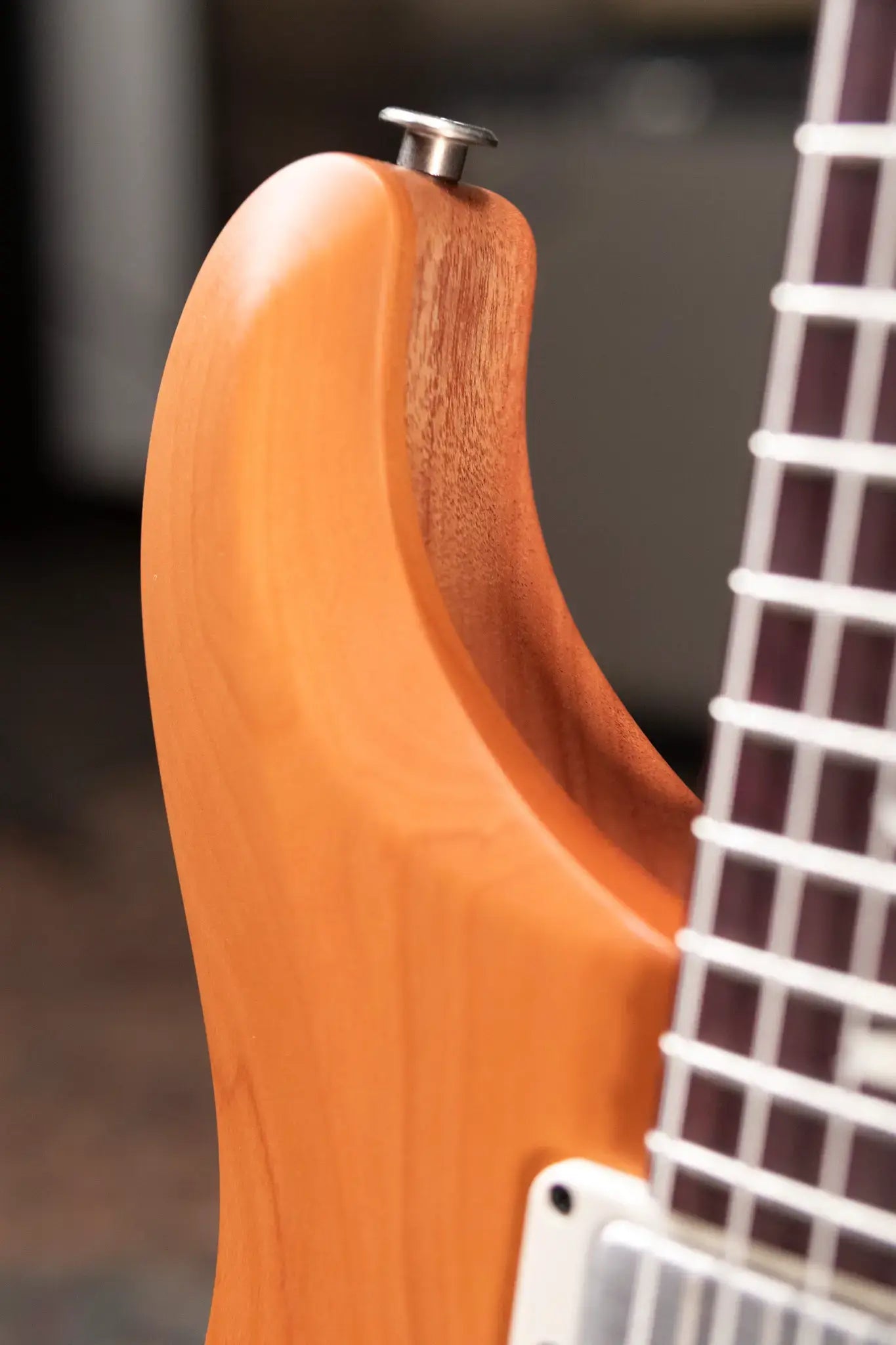 PRS S2 Special Semi-Hollow Reclaimed Limited Electric Guitar -Satin Natural with Gig Bag