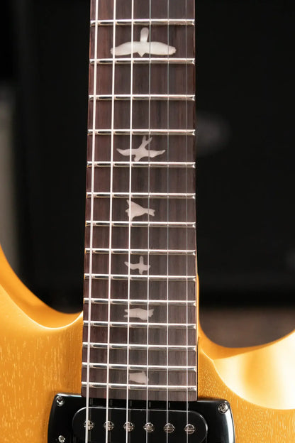 PRS SE CE 24 Solid Body Electric Guitar - Metallic Gold Stain with Gig Bag