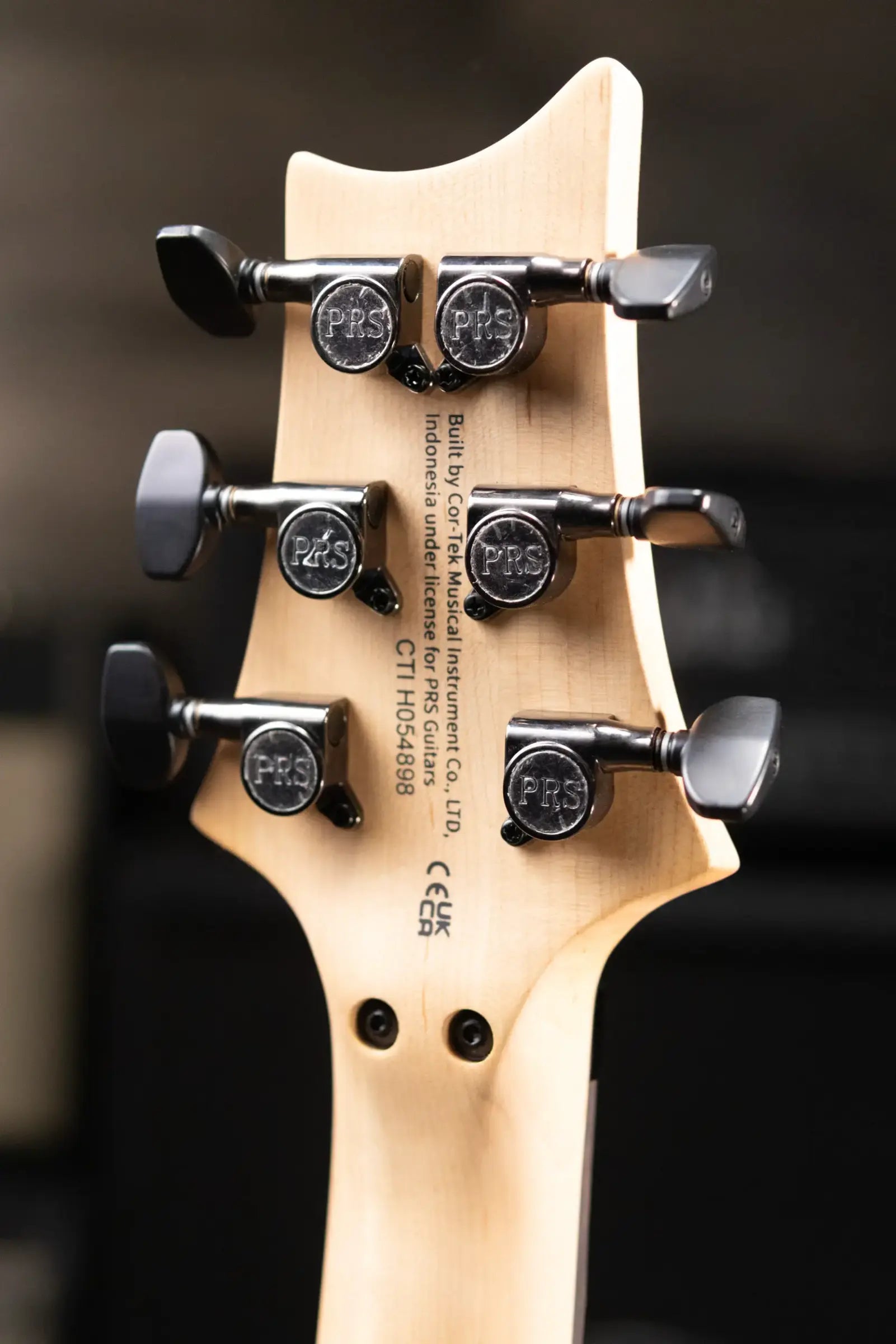 PRS SE Chleo Herman Li Signature Electric Guitar - Mantis Burst with Gig Bag