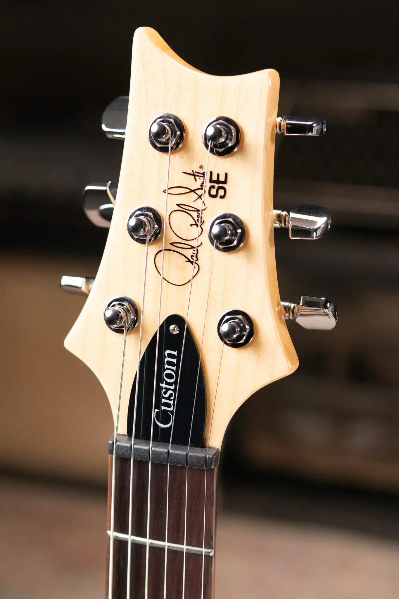 PRS SE Custom 24 Electric Guitar - Turquoise with Gig Bag