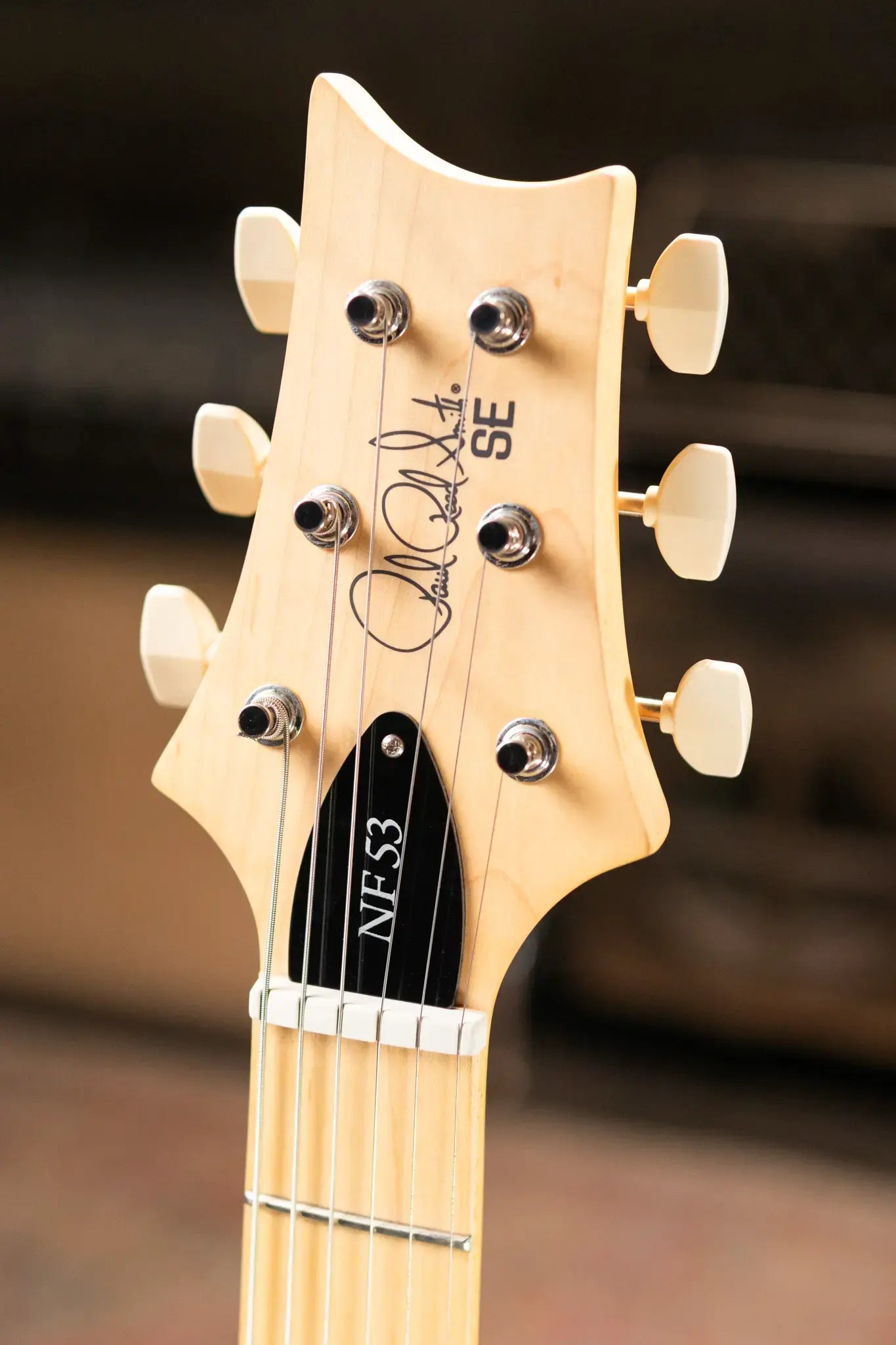 PRS SE NF53 Bolt-On Electric Guitar - Black Doghair with Gig Bag