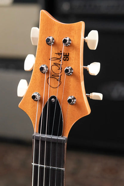 PRS SE Paul's Guitar Electric Guitar - Slate Blue with Gig Bag