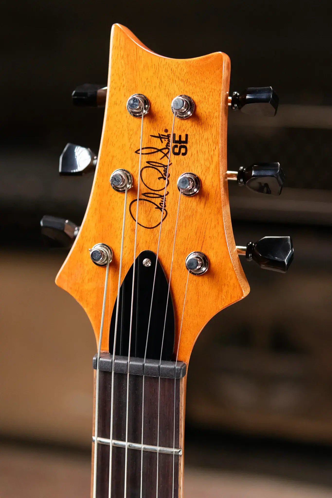 PRS SE Paul's Guitar Electric Guitar - Turquoise with Gig Bag