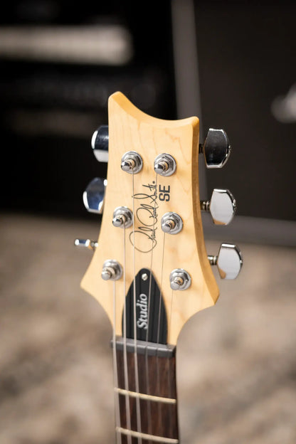 PRS SE Studio Standard Rosewood Electric Guitar - Sage Green with Gig Bag