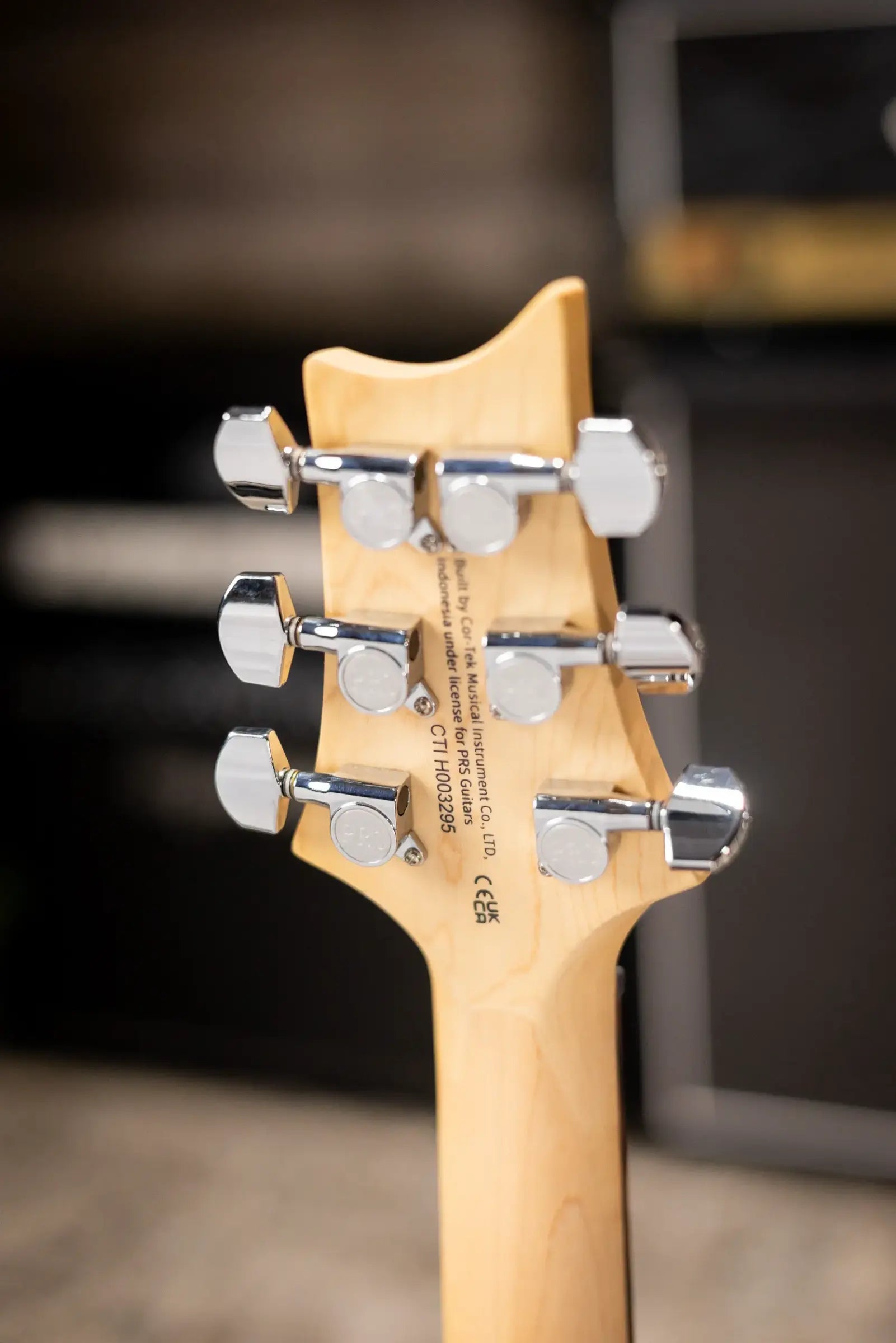 PRS SE Studio Standard Rosewood Electric Guitar - Sage Green with Gig Bag