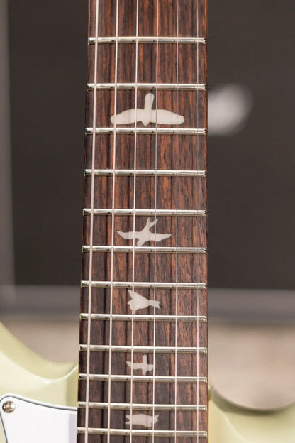 PRS SE Studio Standard Rosewood Electric Guitar - Sage Green with Gig Bag