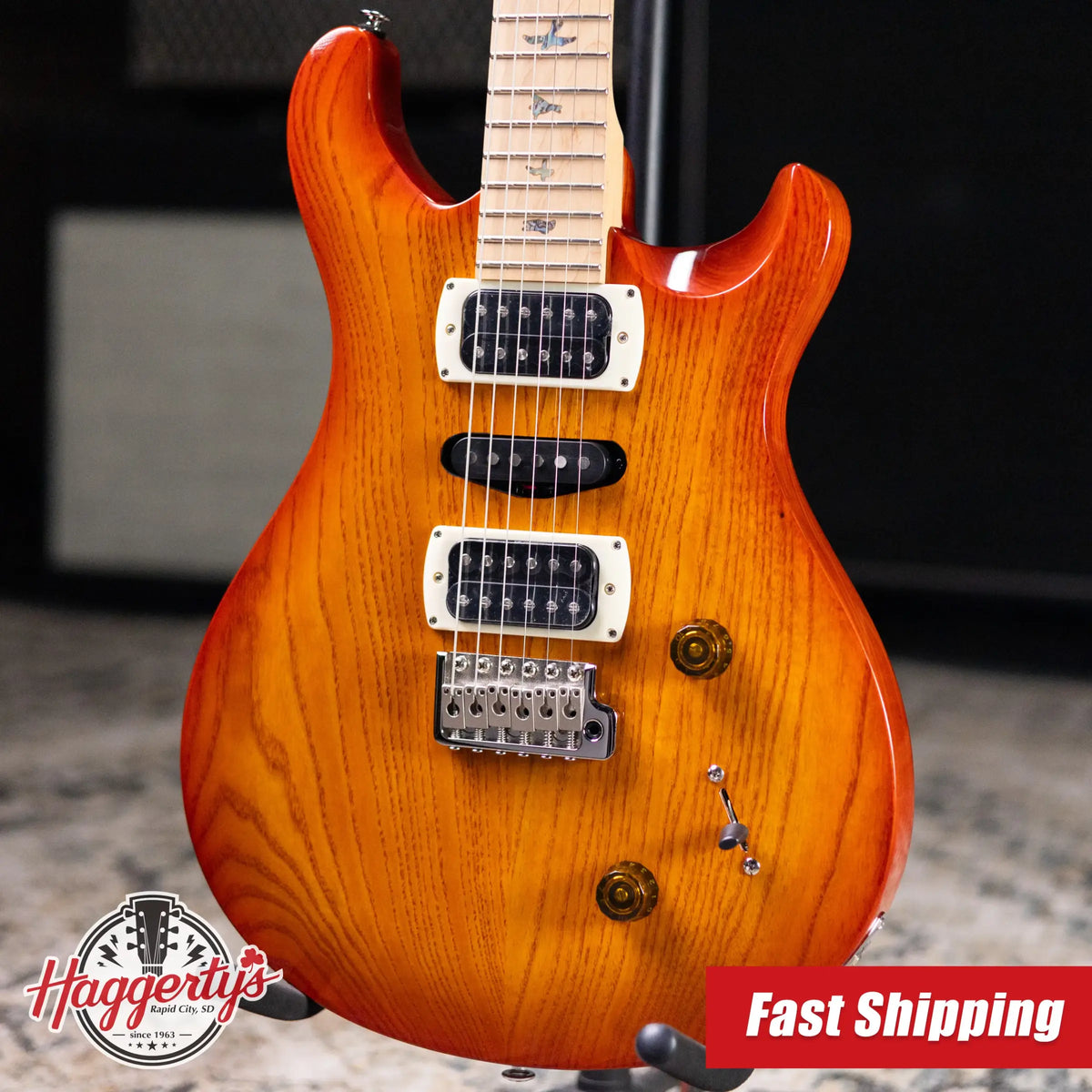 PRS SE Swamp Ash 22 Electric Guitar - Vintage Sunburst with Gig Bag