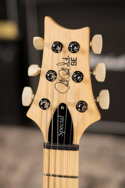 PRS SE Swamp Ash Special 22 Bolt-On Electric Guitar - Iri Blue with Gig Bag