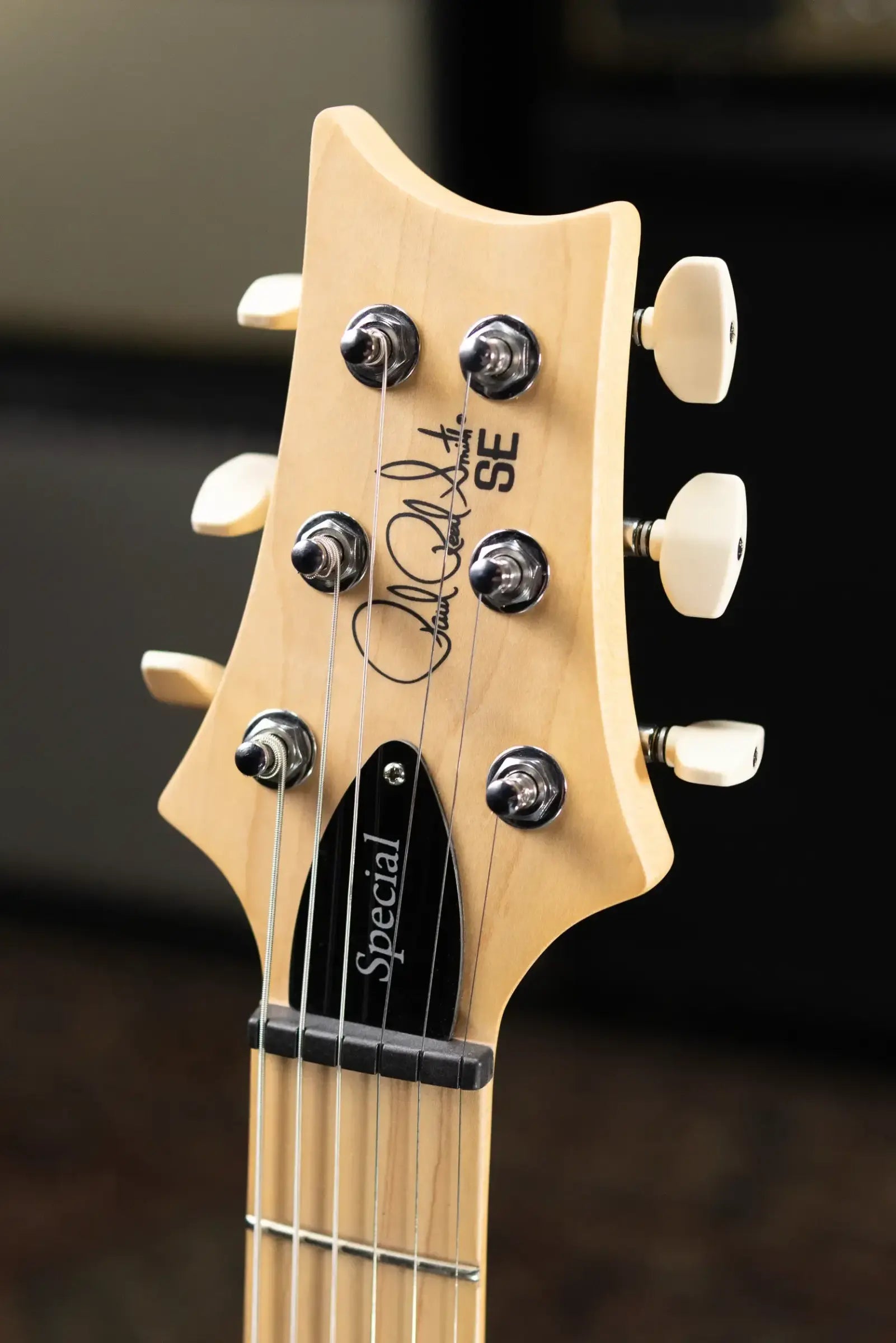 PRS SE Swamp Ash Special 22 Bolt-on Electric Guitar - Charcoal with Gig Bag
