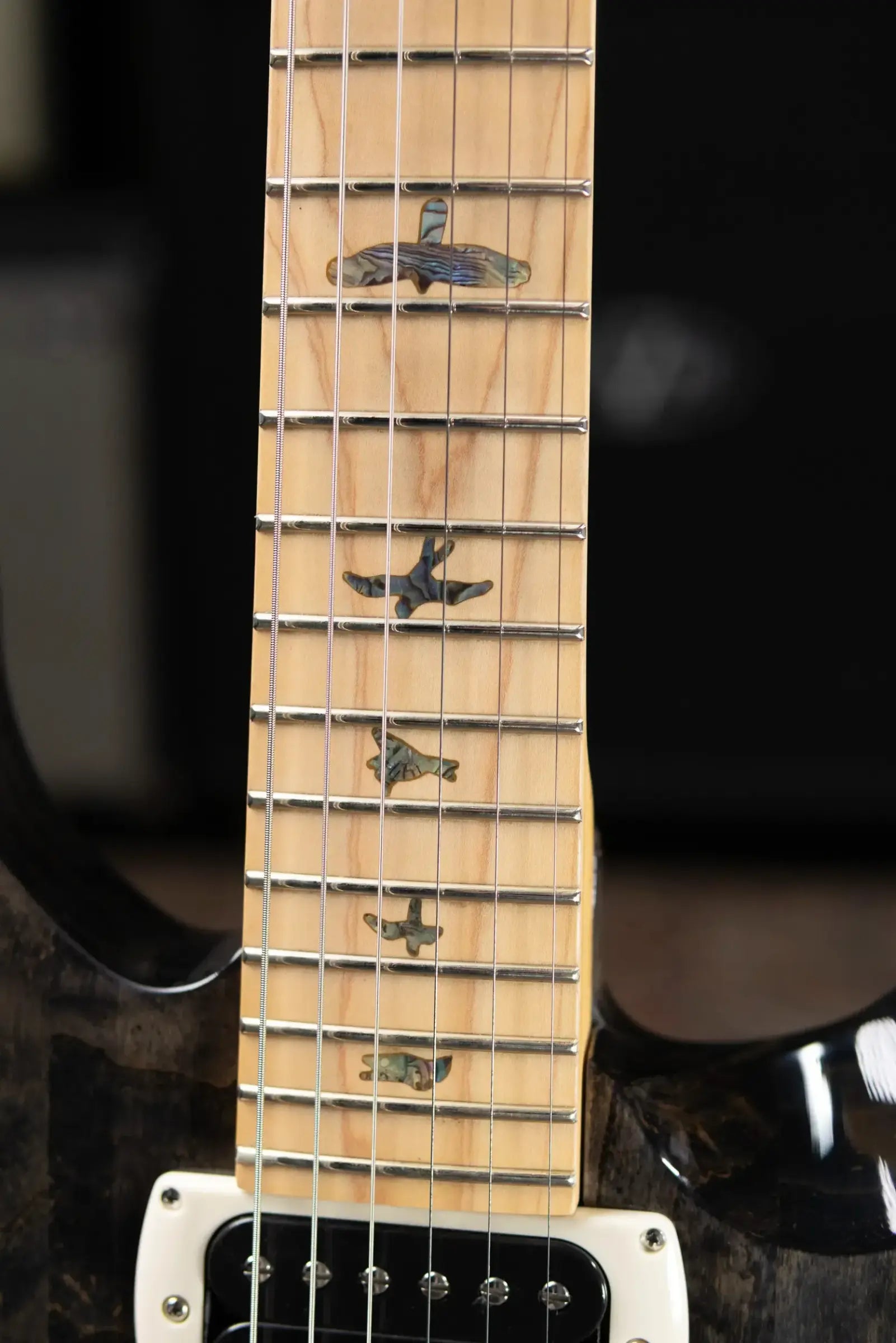 PRS SE Swamp Ash Special 22 Bolt-on Electric Guitar - Charcoal with Gig Bag