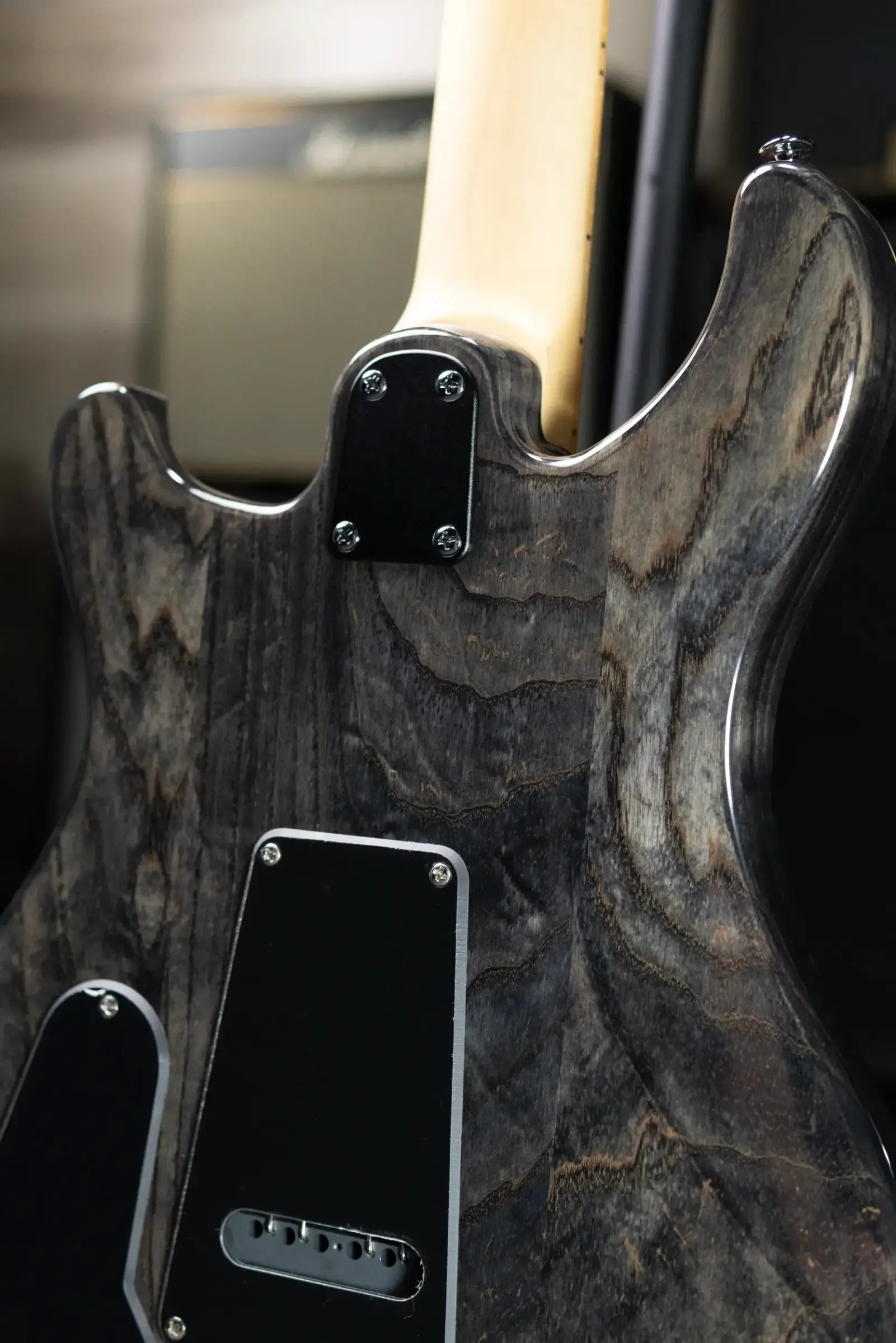PRS SE Swamp Ash Special 22 Bolt-on Electric Guitar - Charcoal with Gig Bag