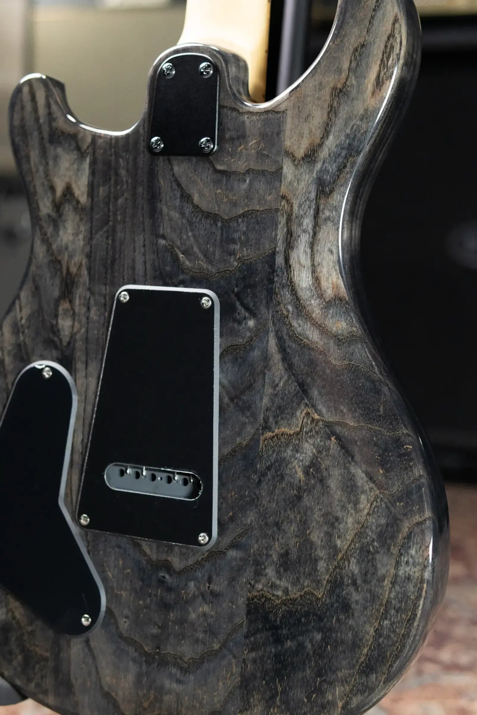 PRS SE Swamp Ash Special 22 Bolt-on Electric Guitar - Charcoal with Gig Bag