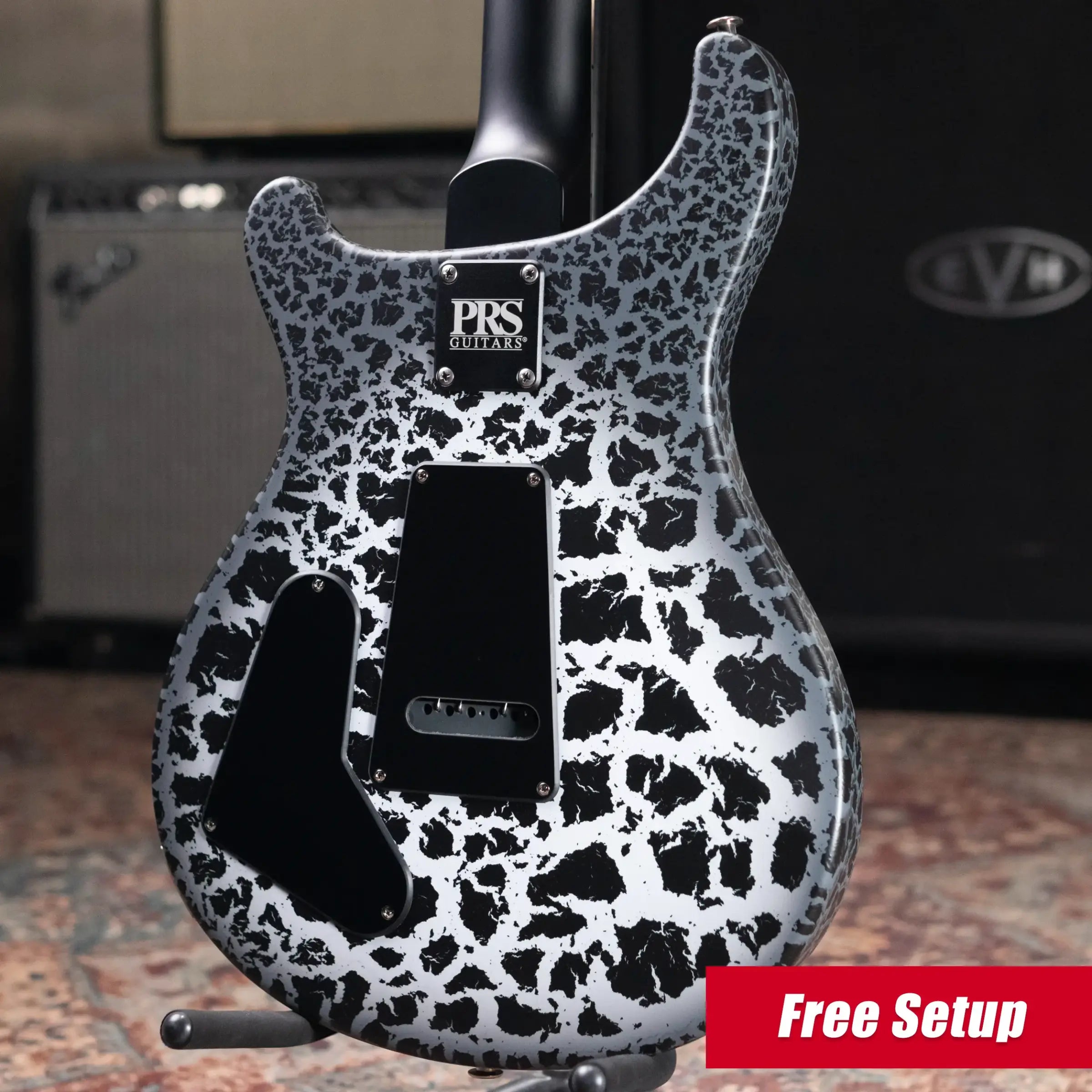 PRS Swamp Ash Special Electric Guitar - Sprayer's Choice with Gig Bag