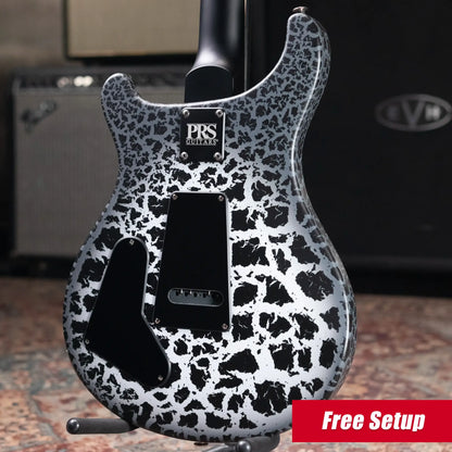 PRS Swamp Ash Special Electric Guitar - Sprayer's Choice with Gig Bag