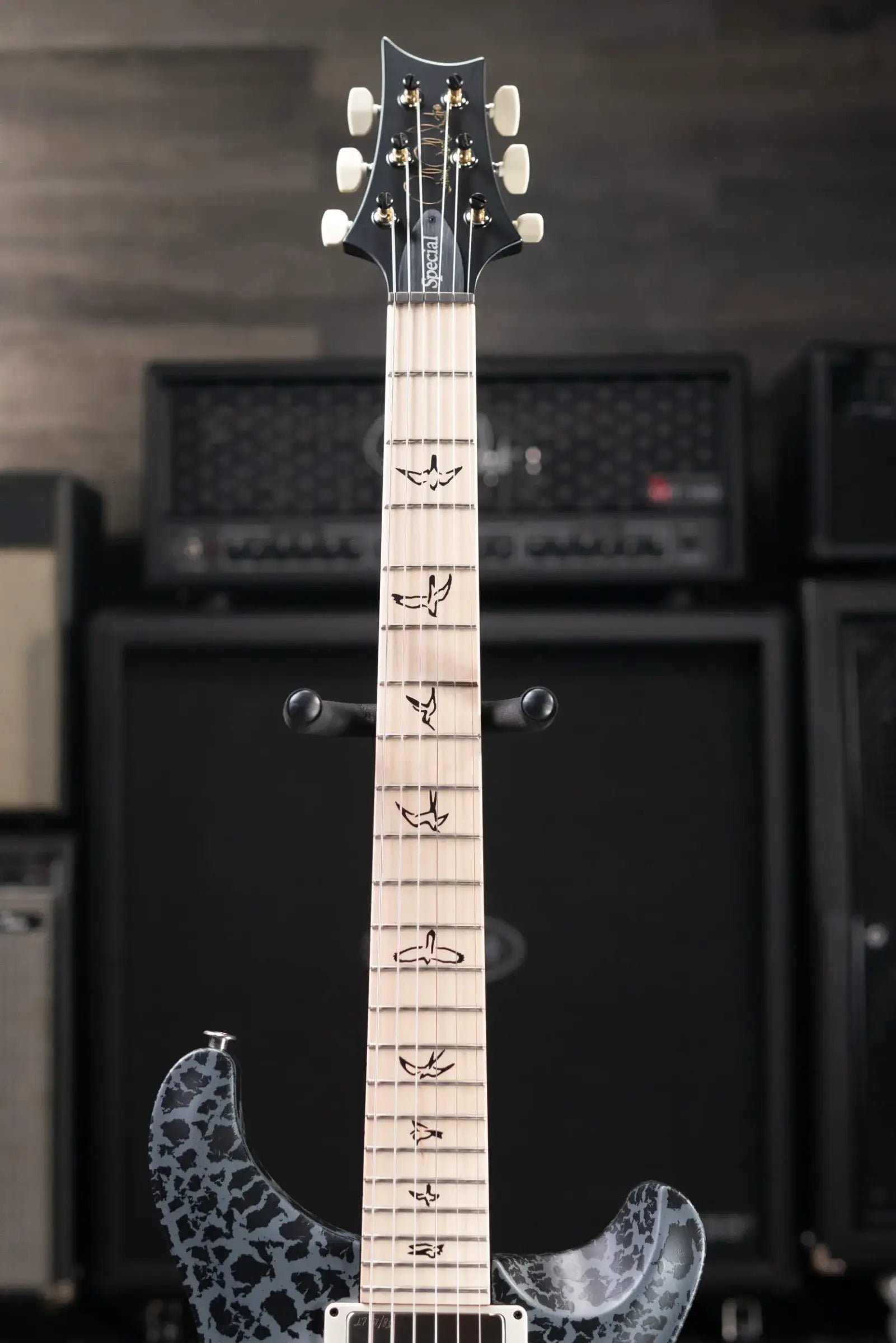 PRS Swamp Ash Special Electric Guitar - Sprayer's Choice with Gig Bag