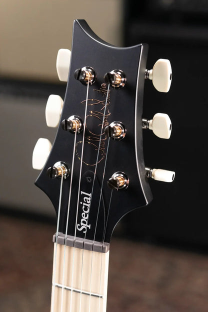 PRS Swamp Ash Special Electric Guitar - Sprayer's Choice with Gig Bag