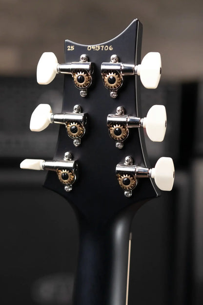 PRS Swamp Ash Special Electric Guitar - Sprayer's Choice with Gig Bag