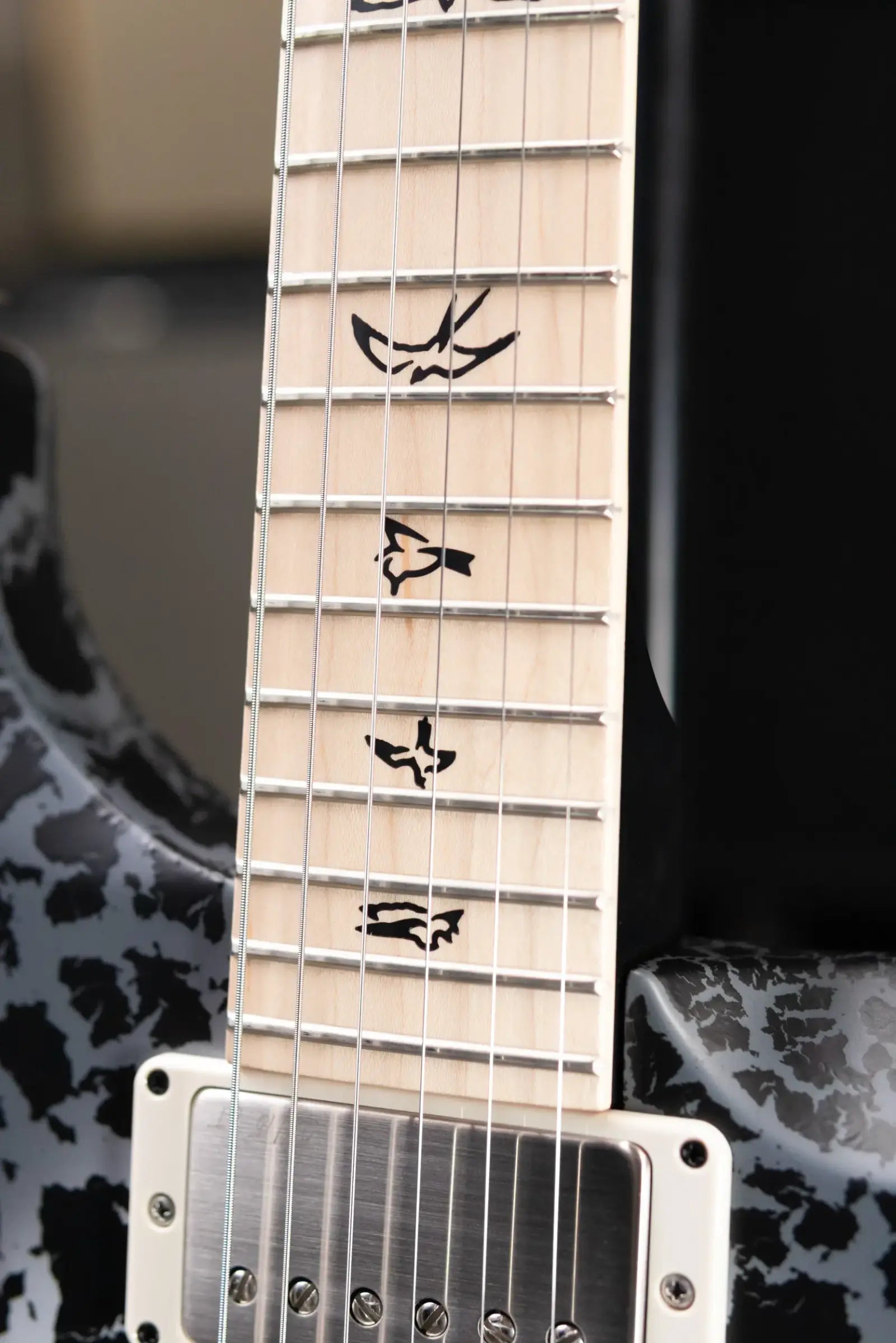 PRS Swamp Ash Special Electric Guitar - Sprayer's Choice with Gig Bag