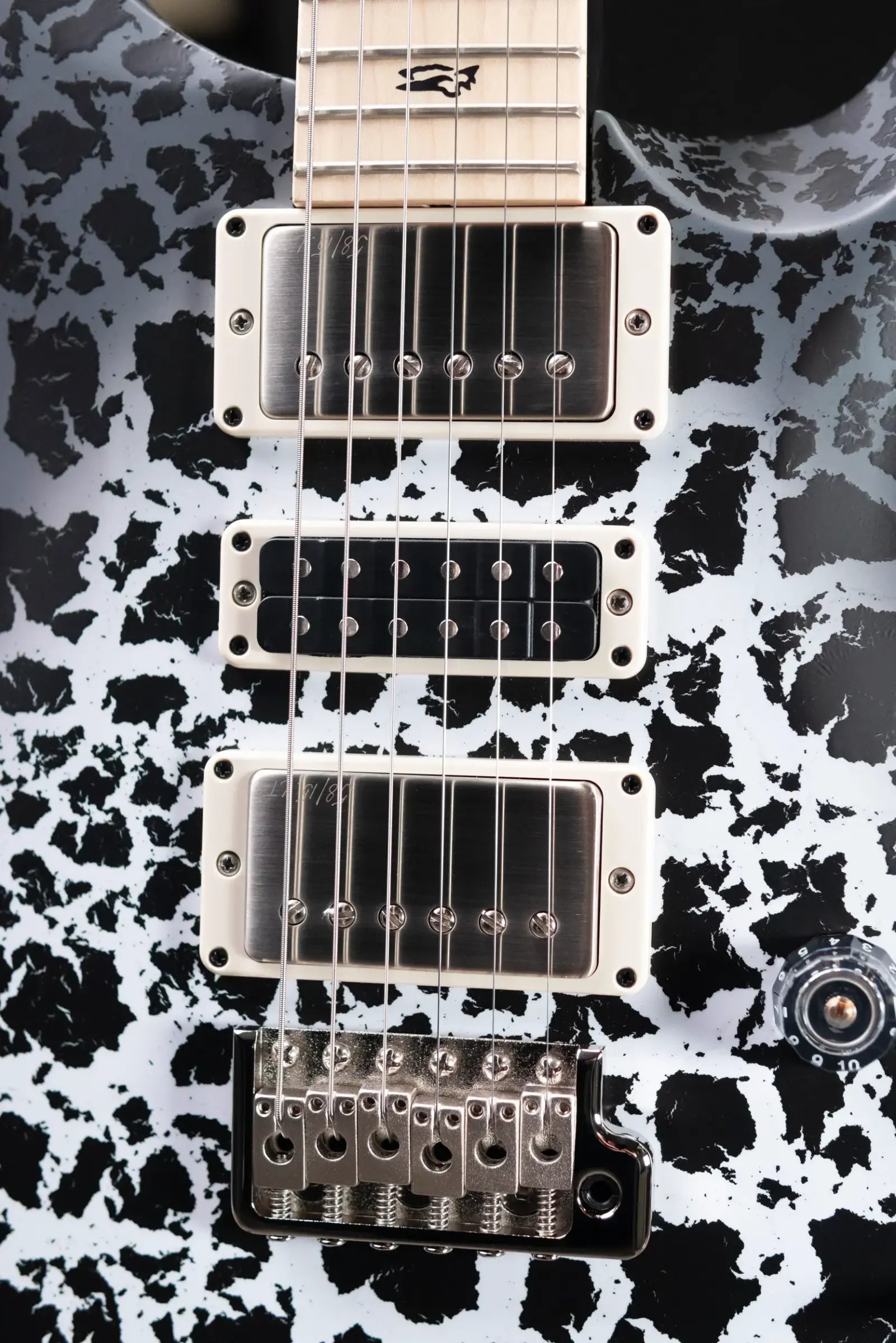 PRS Swamp Ash Special Electric Guitar - Sprayer's Choice with Gig Bag