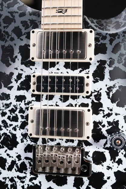 PRS Swamp Ash Special Electric Guitar - Sprayer's Choice with Gig Bag