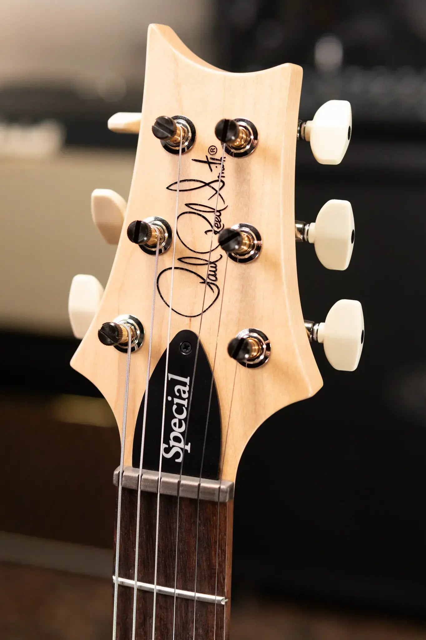 PRS Swamp Ash Special Guitar, Rosewood Fretboard - McCarty Tobacco Sunburst with Gig Bag
