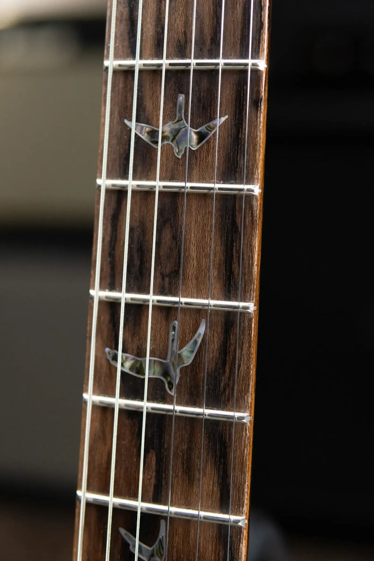 PRS Wood Library Custom 24 Stoptail Limited Edition 10-Top Electric Guitar - Tiger Eye with Hardshell Case