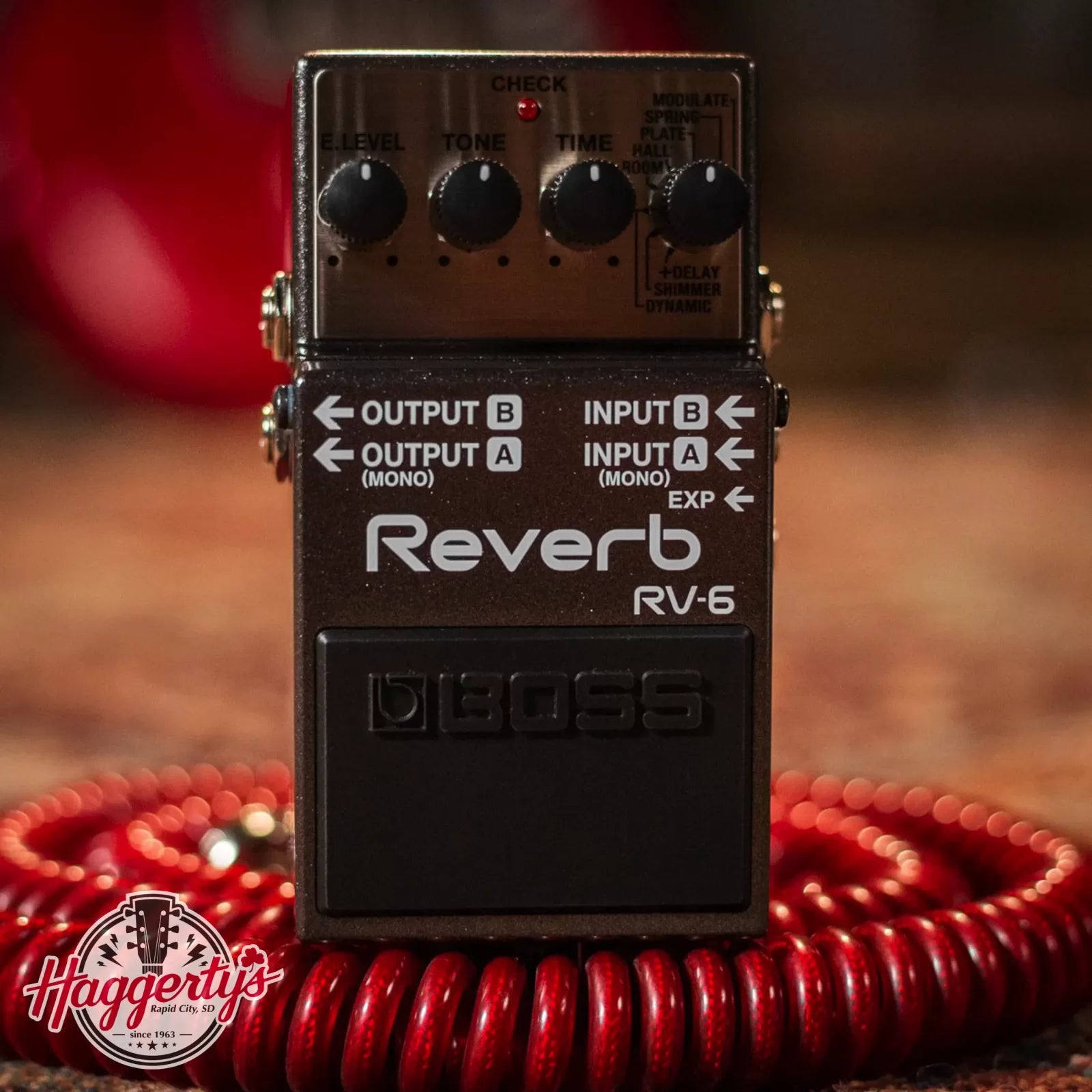 Boss RV-6 Digital Reverb Pedal