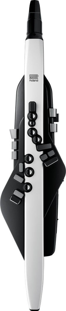 Roland Aerophone AE-20 Digital Wind Instrument