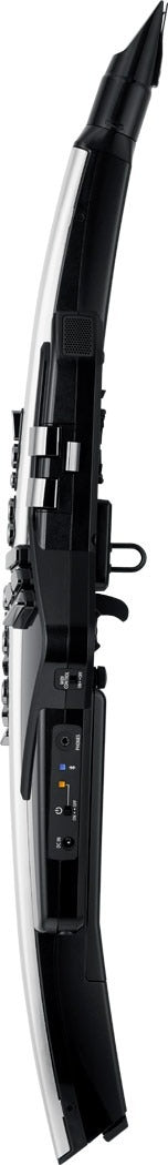 Roland Aerophone Pro AE-30 Digital Wind Instrument - Silver