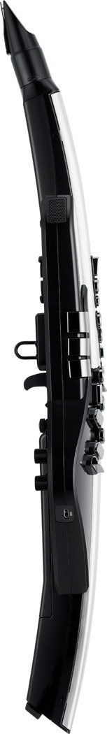Roland Aerophone Pro AE-30 Digital Wind Instrument - Silver
