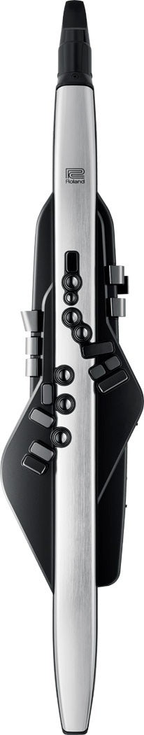 Roland Aerophone Pro AE-30 Digital Wind Instrument - Silver