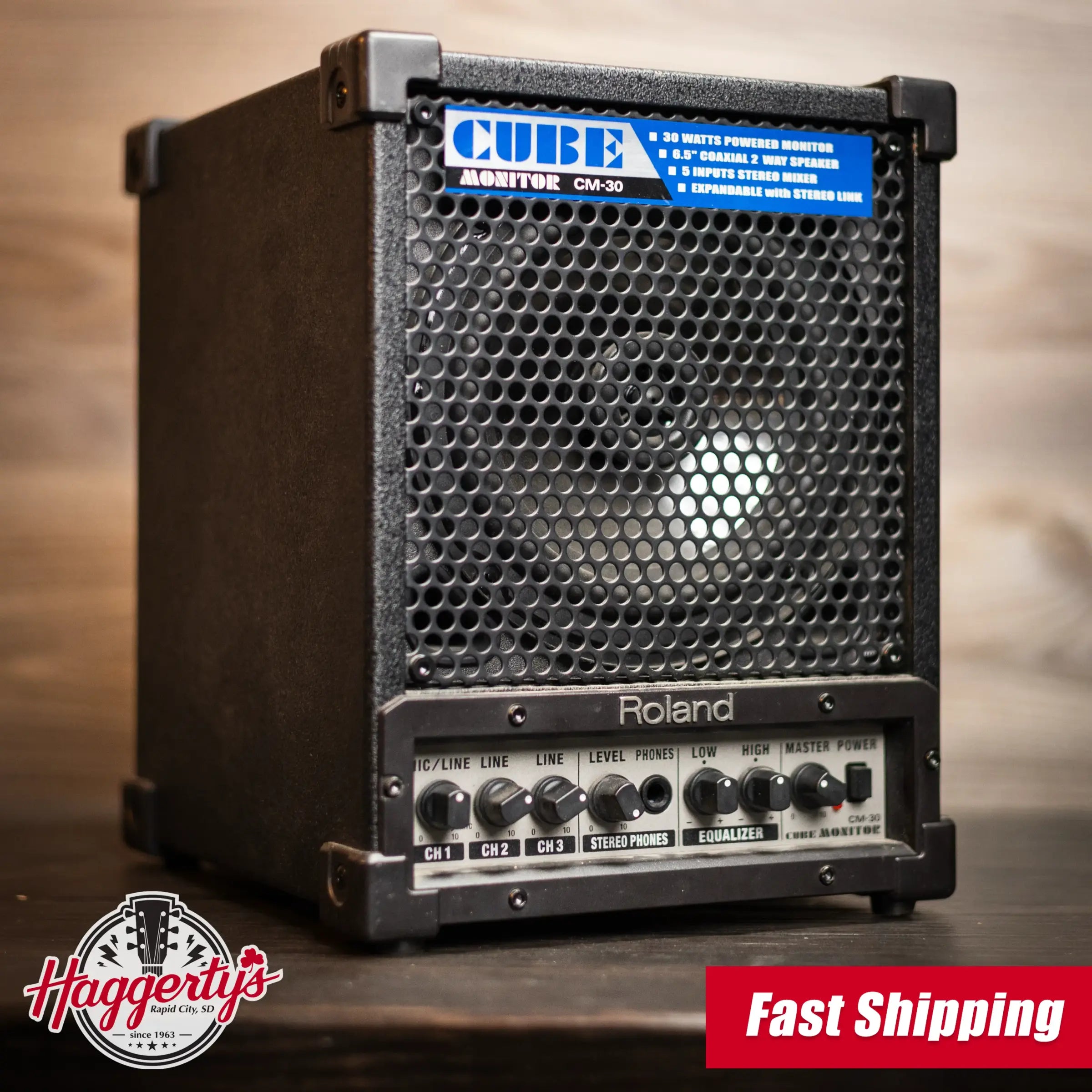 Roland CM-30 Cube Monitor - Used