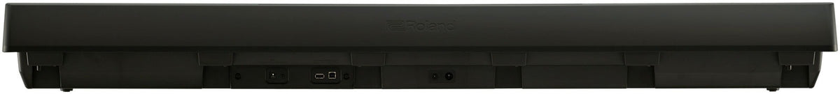 Roland FP-10 Digital Piano - Black