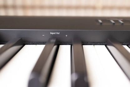 Roland FP-30X Digital Piano with Speakers - Black