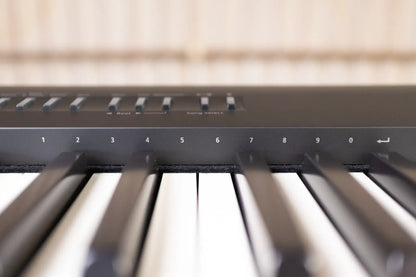 Roland FP-30X Digital Piano with Speakers - Black