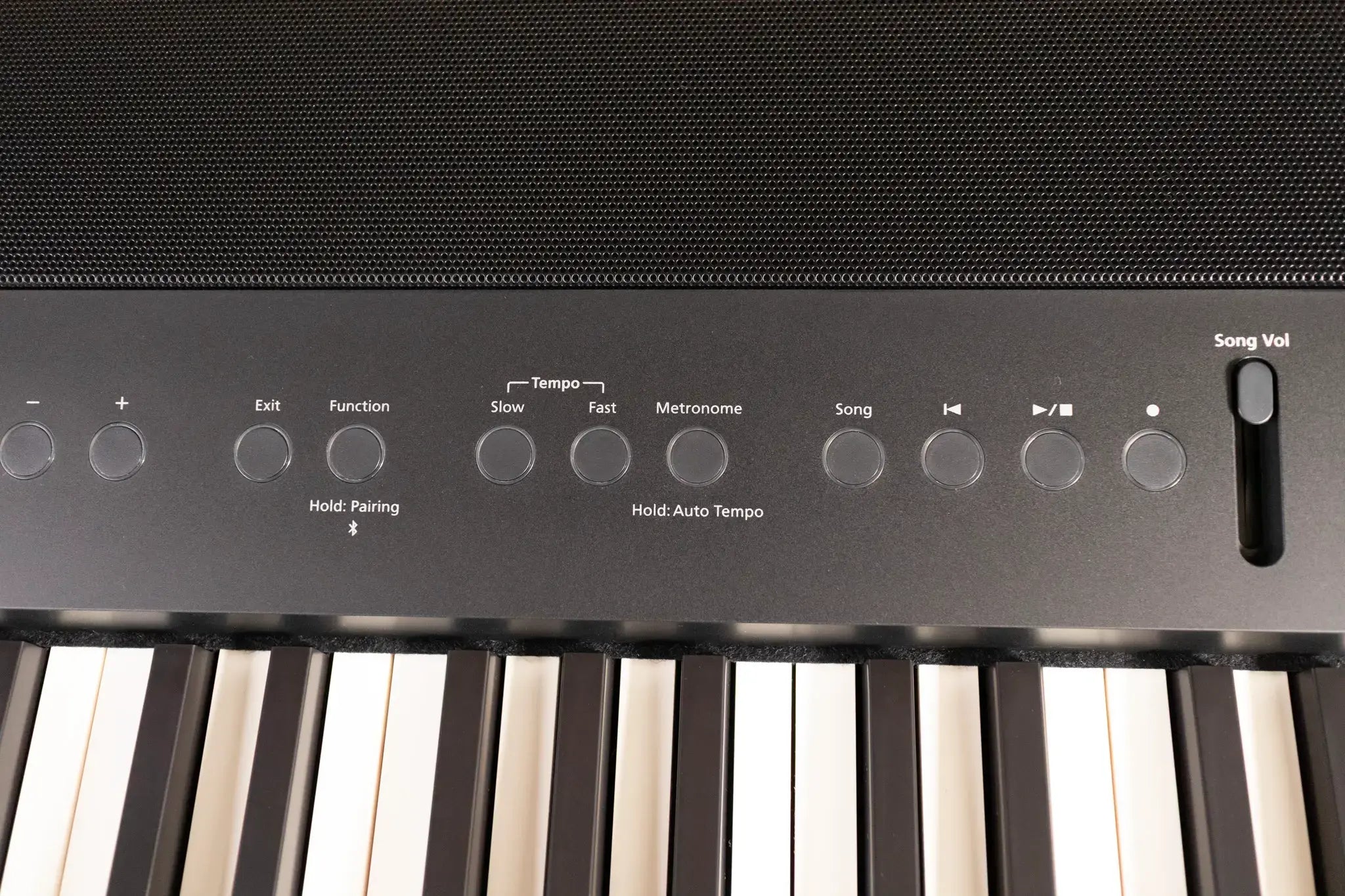 Roland FP-90X Digital Piano - Black