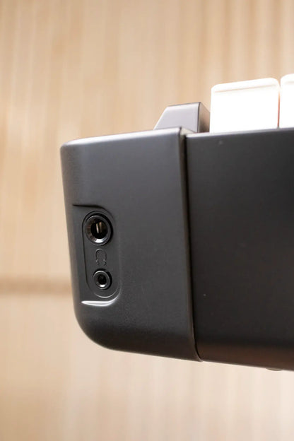 Roland FP-90X Digital Piano - Black