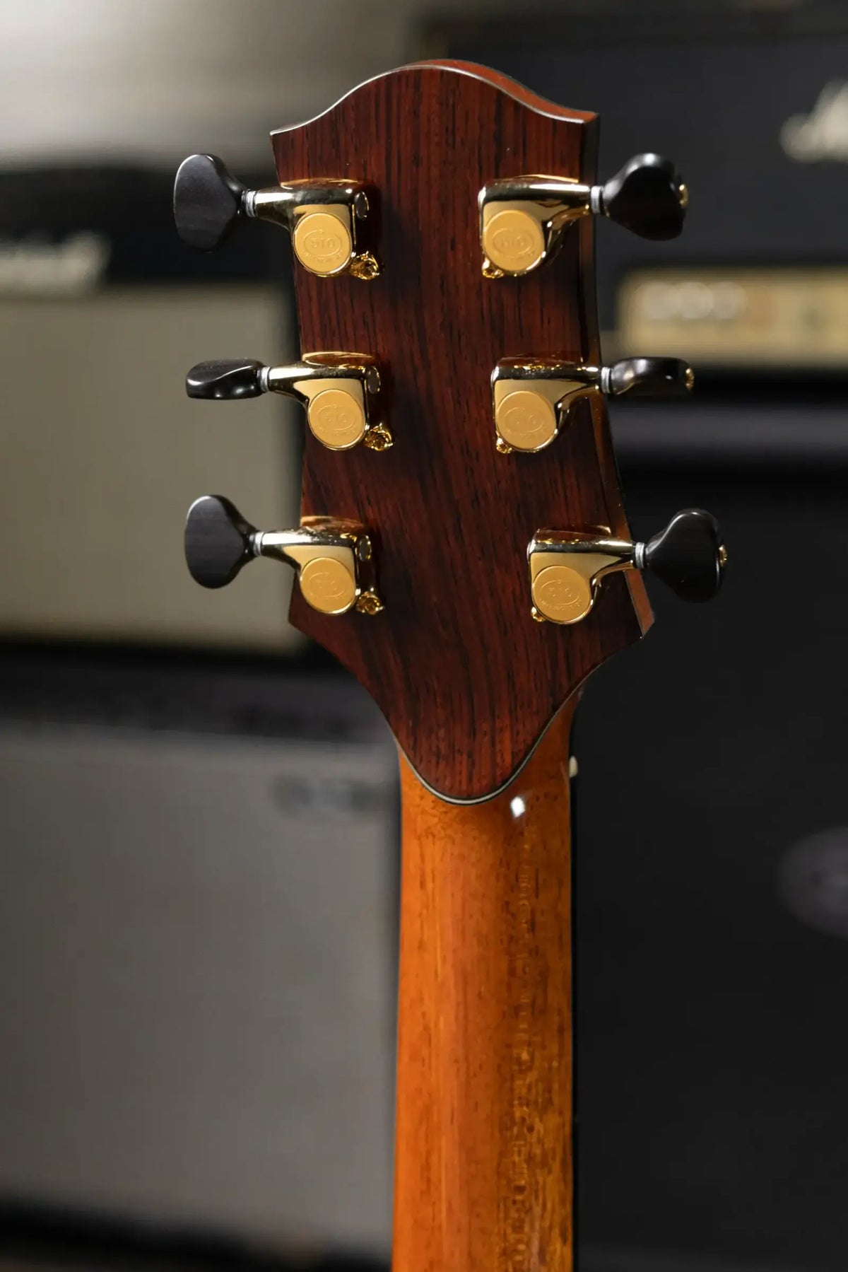 Ryan Guitars Mission Grand Concert Acoustic Guitar - Brazilian Rosewood/Adirondack with Hardshell Case - Used