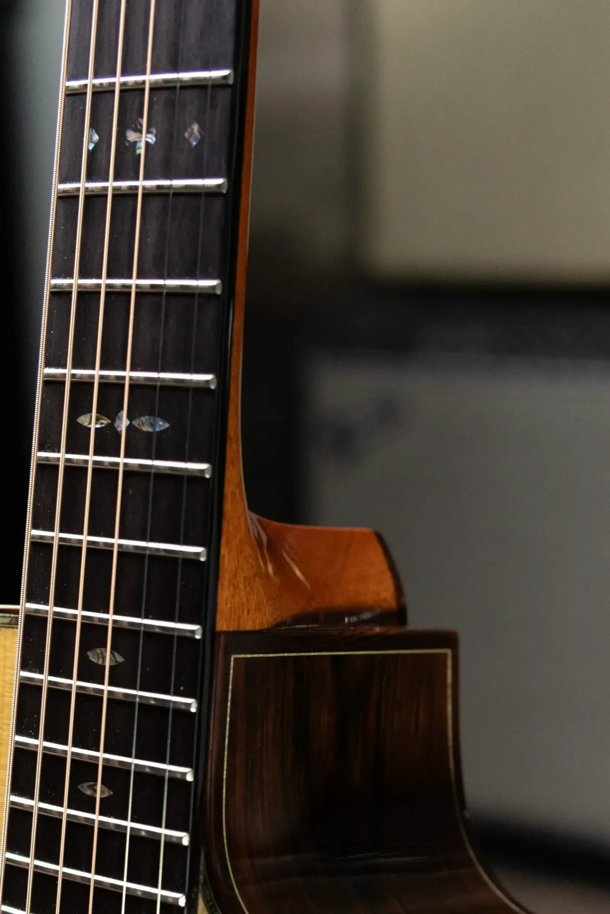 Ryan Guitars Mission Grand Concert Acoustic Guitar - Brazilian Rosewood/Adirondack with Hardshell Case - Used
