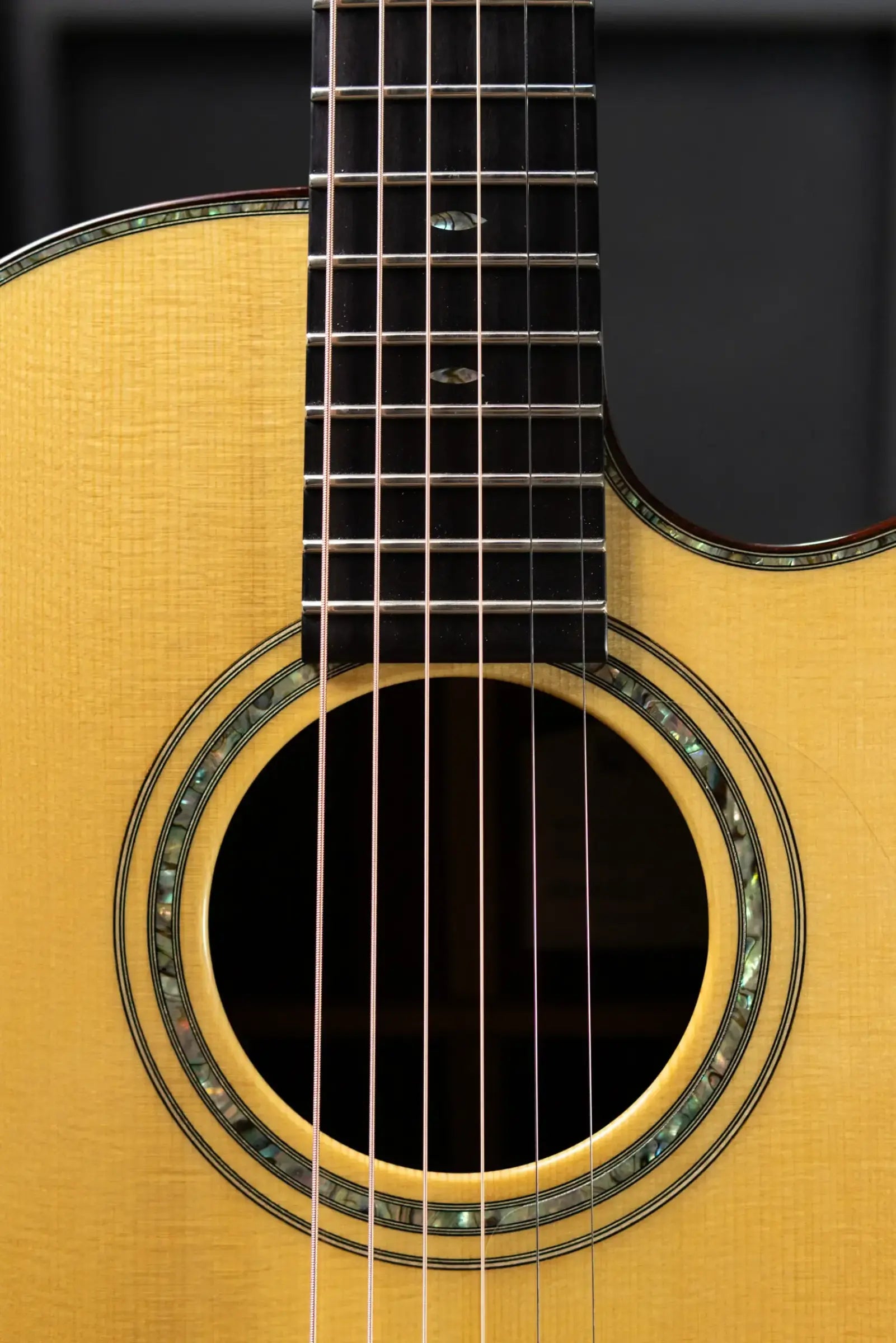Ryan Guitars Mission Grand Concert Acoustic Guitar - Brazilian Rosewood/Adirondack with Hardshell Case - Used