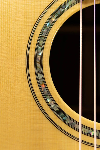 Ryan Guitars Mission Grand Concert Acoustic Guitar - Brazilian Rosewood/Adirondack with Hardshell Case - Used