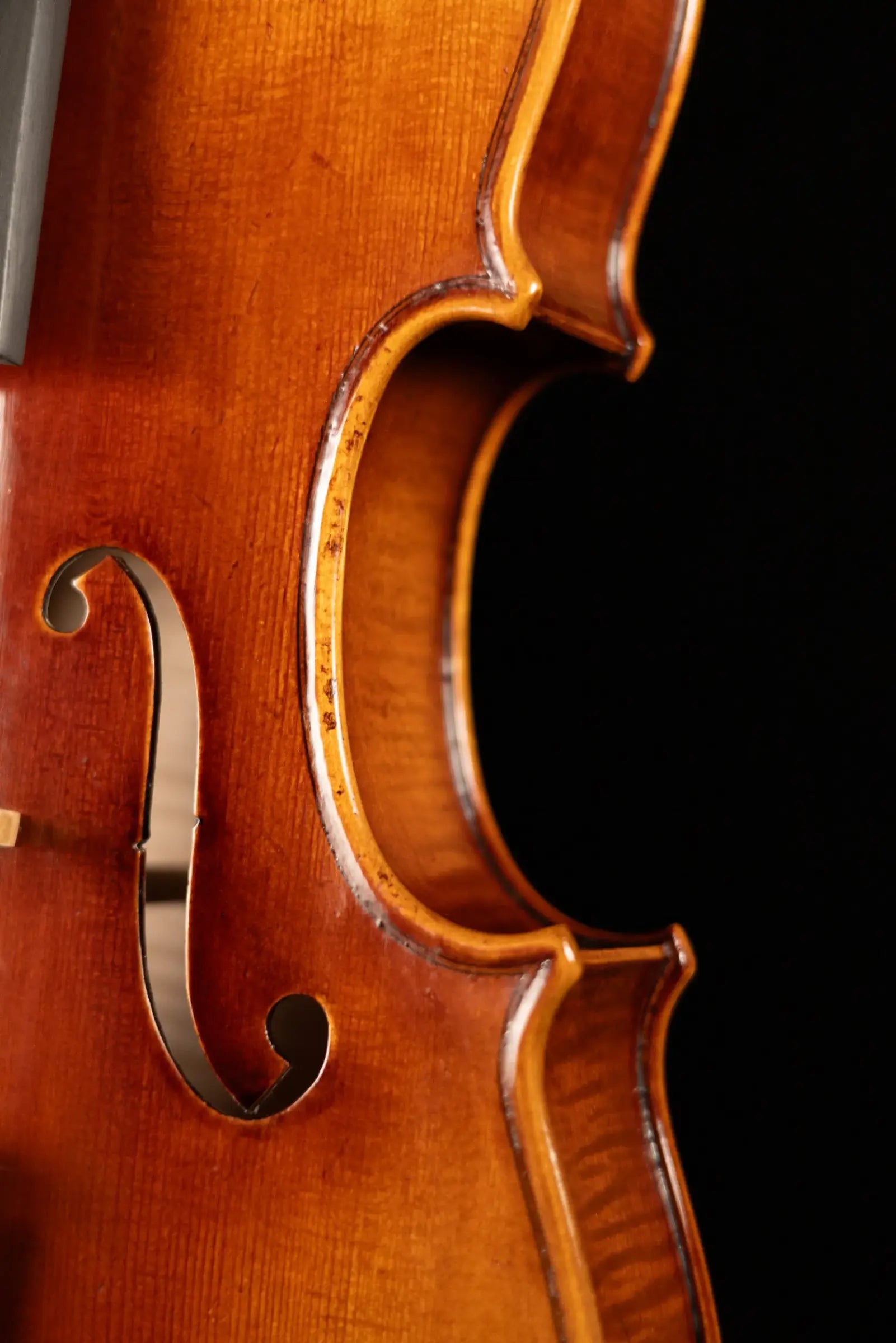 Scott Cao STA-750E Stradivari Viola - 15.5"