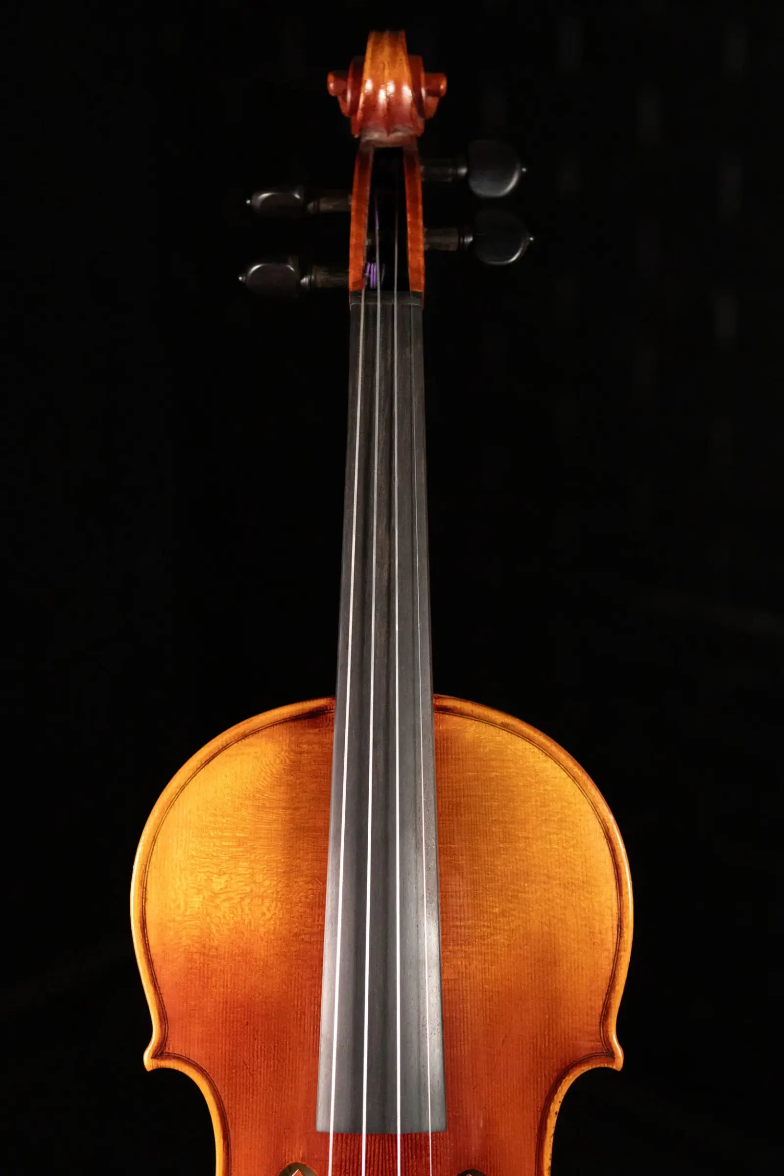 Scott Cao STV-750E Il Cannone 1743 Guarn 2-Piece Back Violin - 4/4