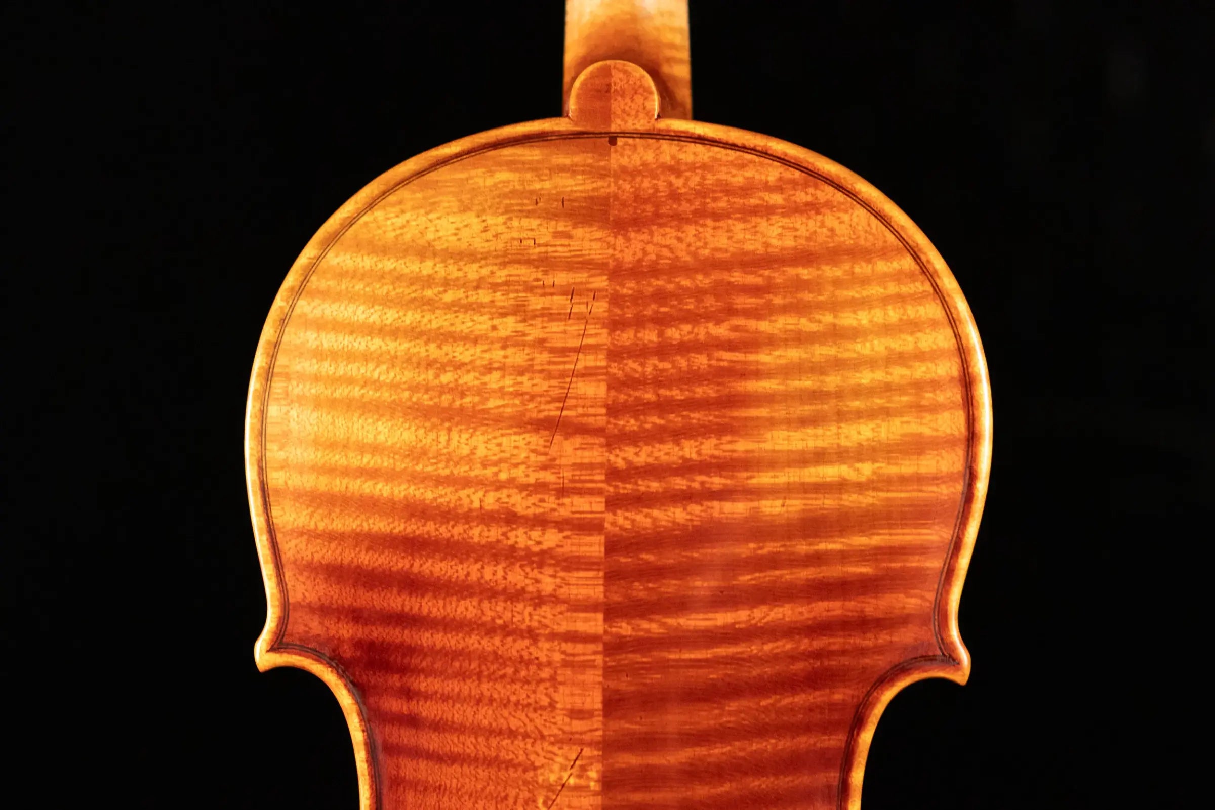 Scott Cao STV-750E Il Cannone 1743 Guarn 2-Piece Back Violin - 4/4