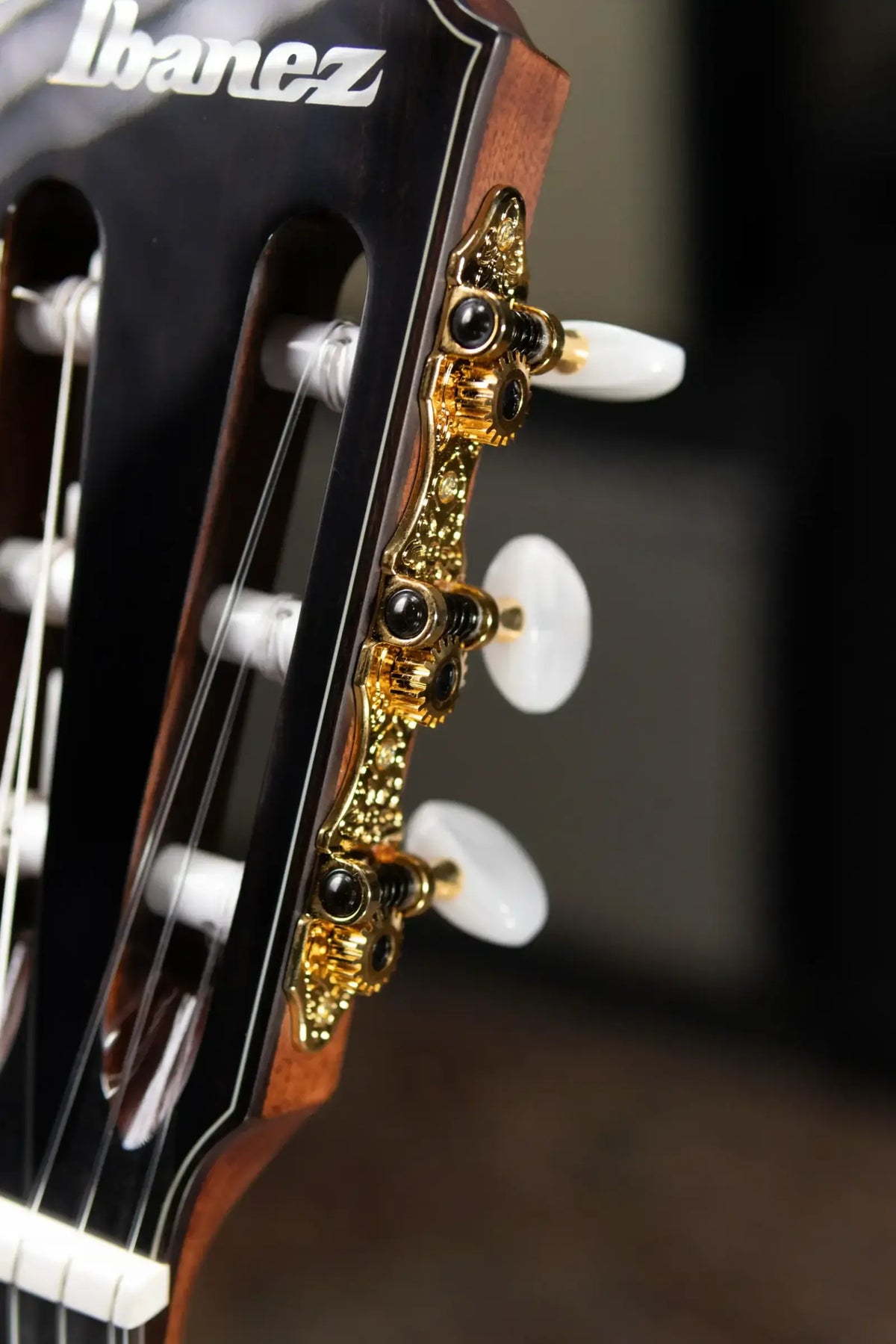 Ibanez TOD100N Tim Henson Signature Nylon Electric Guitar - Natural High Gloss with Gig Bag